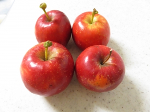 ひめりんごの実を収穫しました。